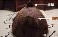 椰壳与椰蒂：如何区分文玩的这两种类型