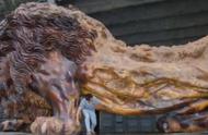 广西男子创作的15米根雕雄狮，富商出价300万被拒，现在如何了？