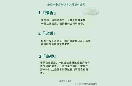 春节品茶必备：28种茶叶香气解析