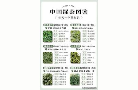 探索中国绿茶：一篇全面的指南