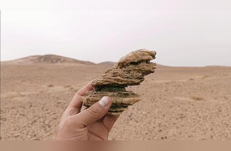 戈壁滩上的奇石宝藏：发现一块令人惊叹的风凌石！