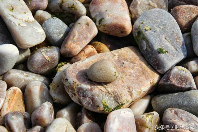 山东烟台：这里的海滩没沙子，“球石”组成了“球石滩”